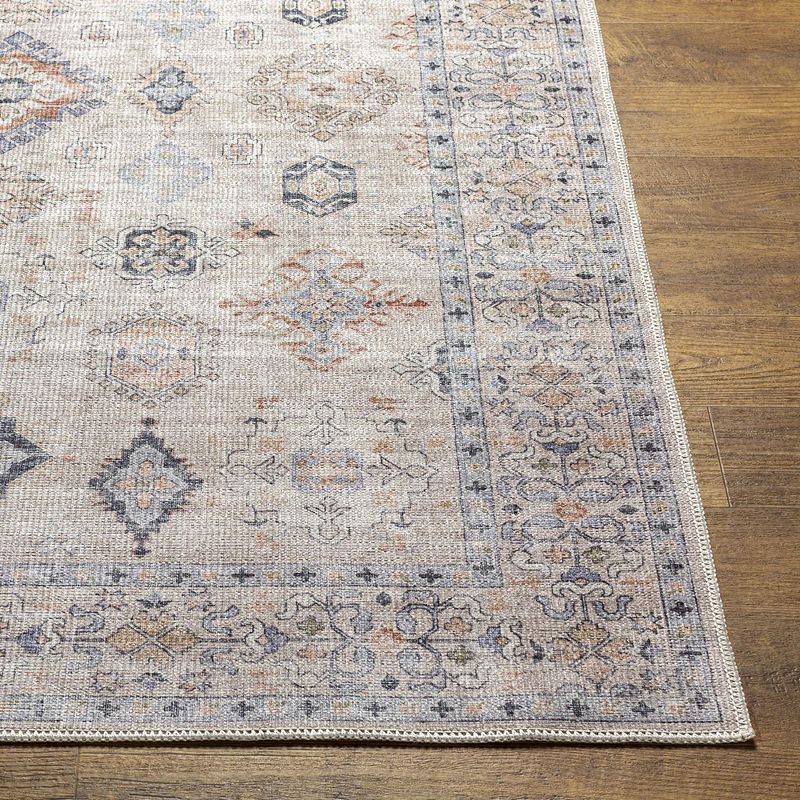 North Utica Traditional Washable Area Rug