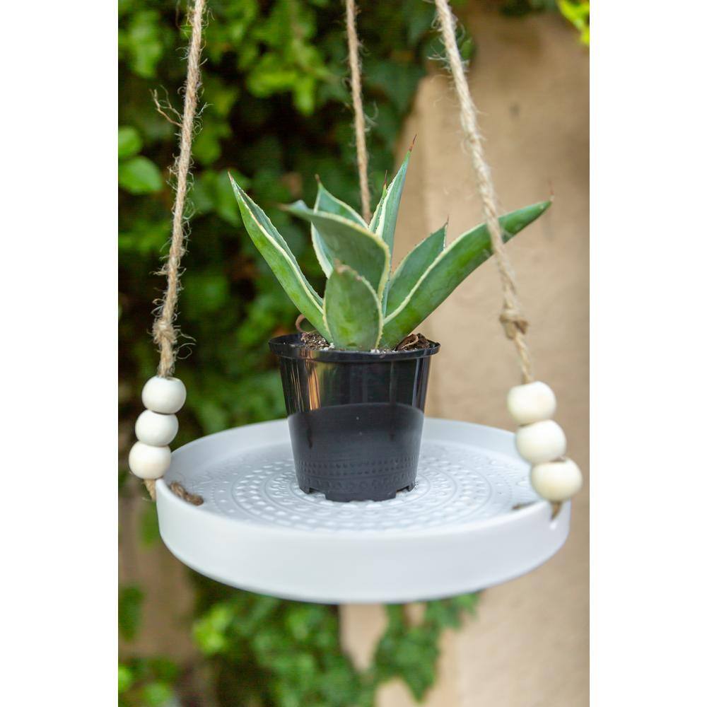 Flora Bunda 7.8 in Matte White Mayan Ceramic Planter Hanging Stand CT1475E-MTWH