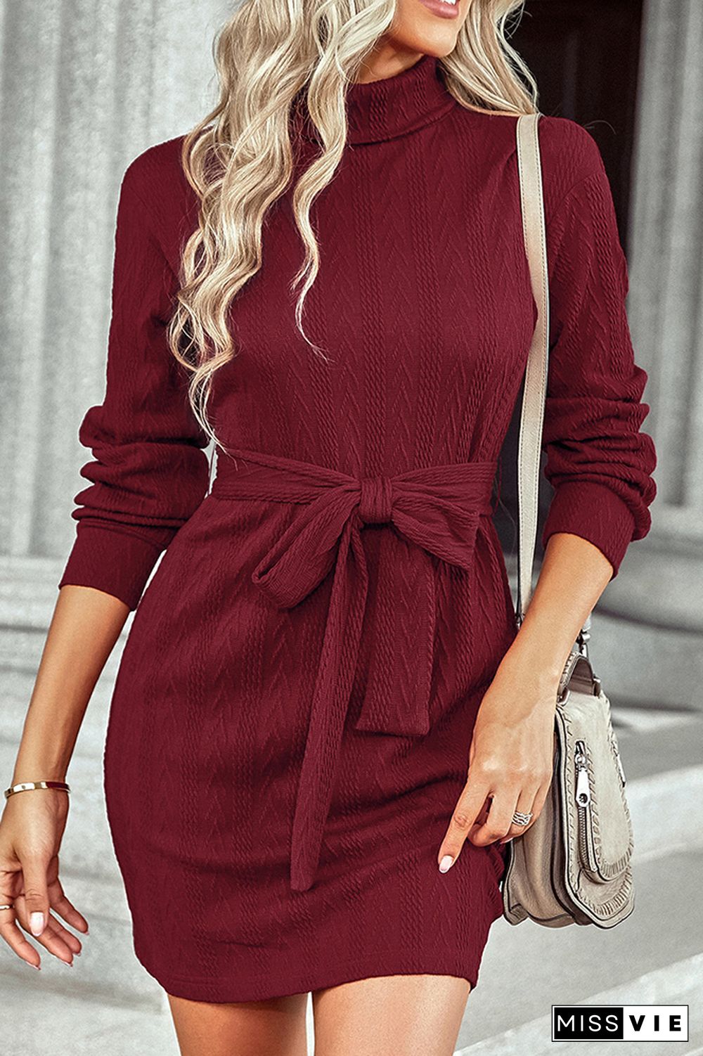 Turtleneck Long Sleeve Knee Length Sweater Dress