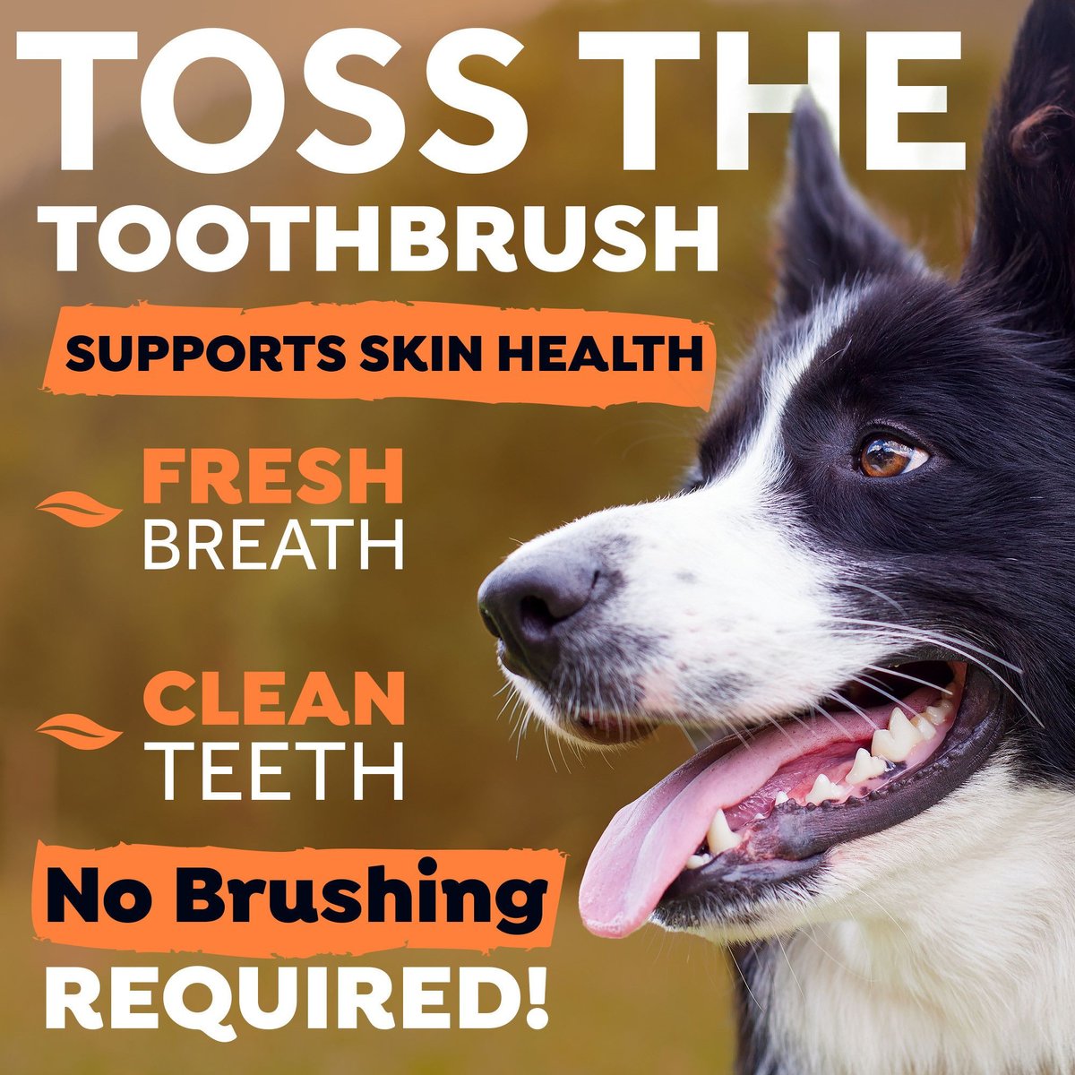 TropiClean Fresh Breath Dental Health Solution + Skin Health Support Dog Dental Water Additive