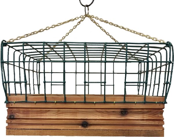 Tucson Bird Designs Songbird Platform Bird Feeder