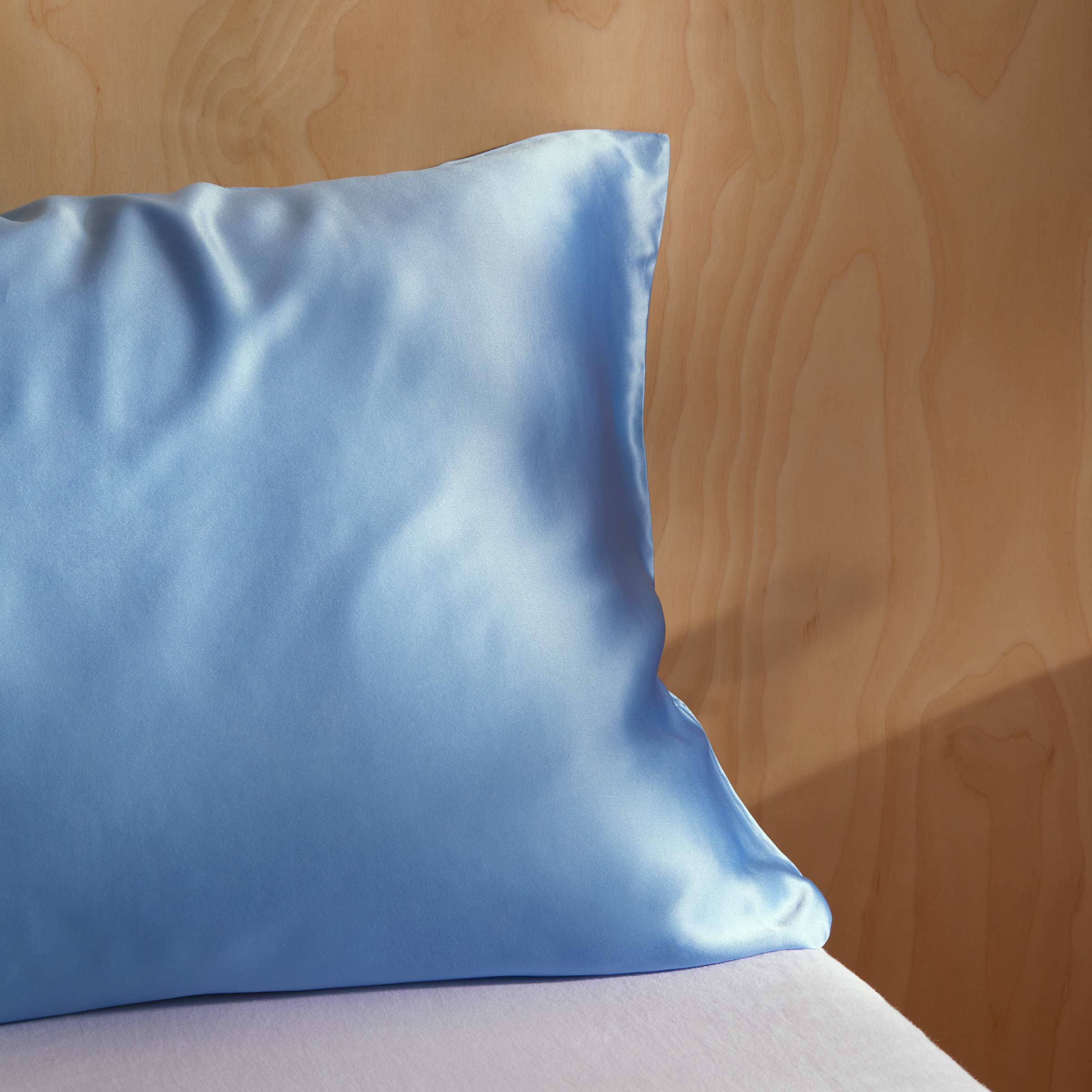 Mulberry Silk Pillowcase - Last Call