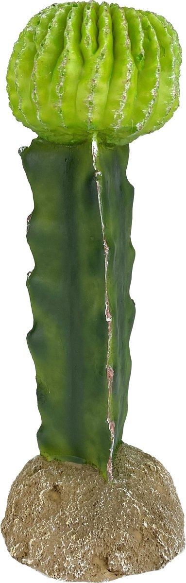 Komodo Cactus Moon Reptile Ornament， Green