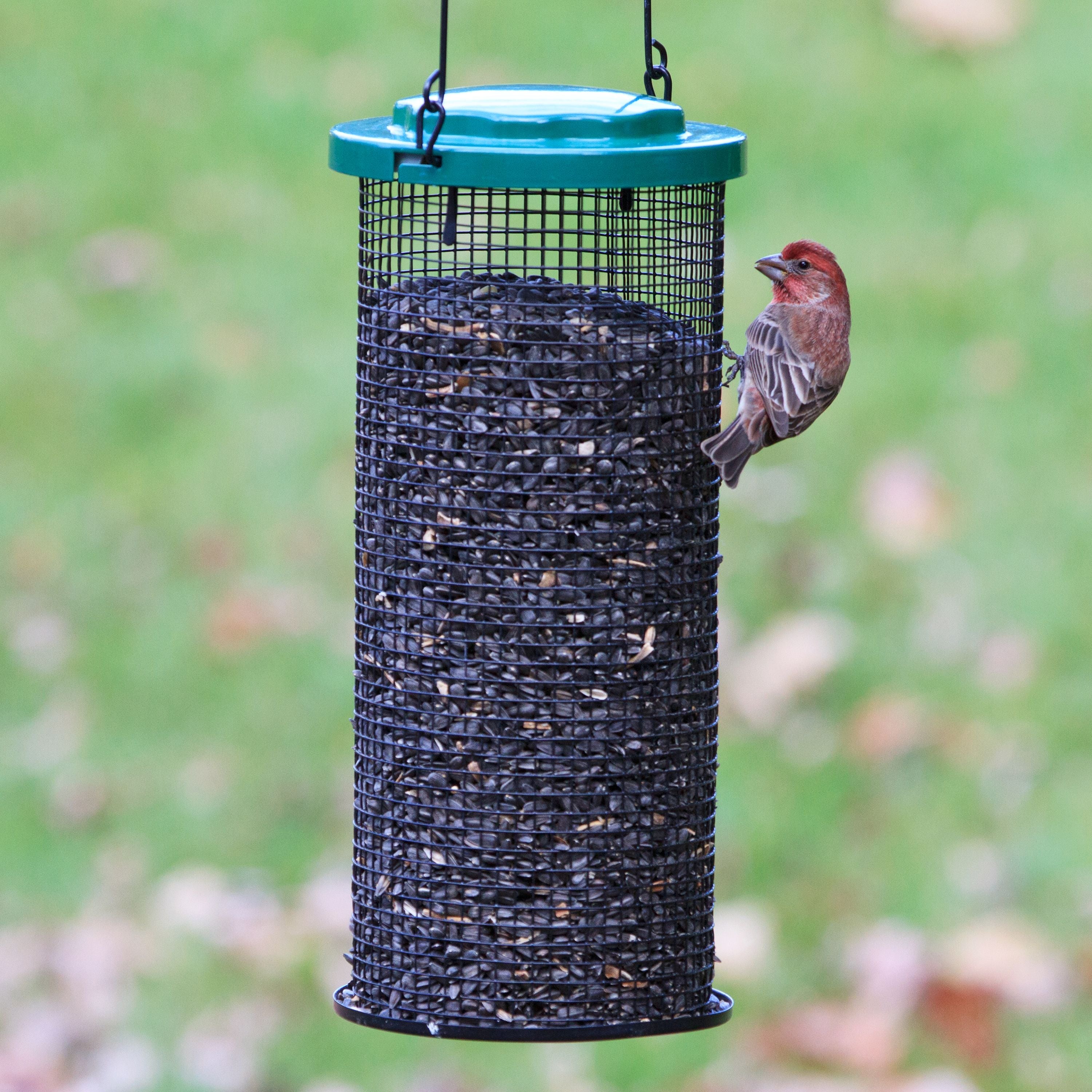 Perky-Pet 3 lb Sunflower Mesh Bird Feeder