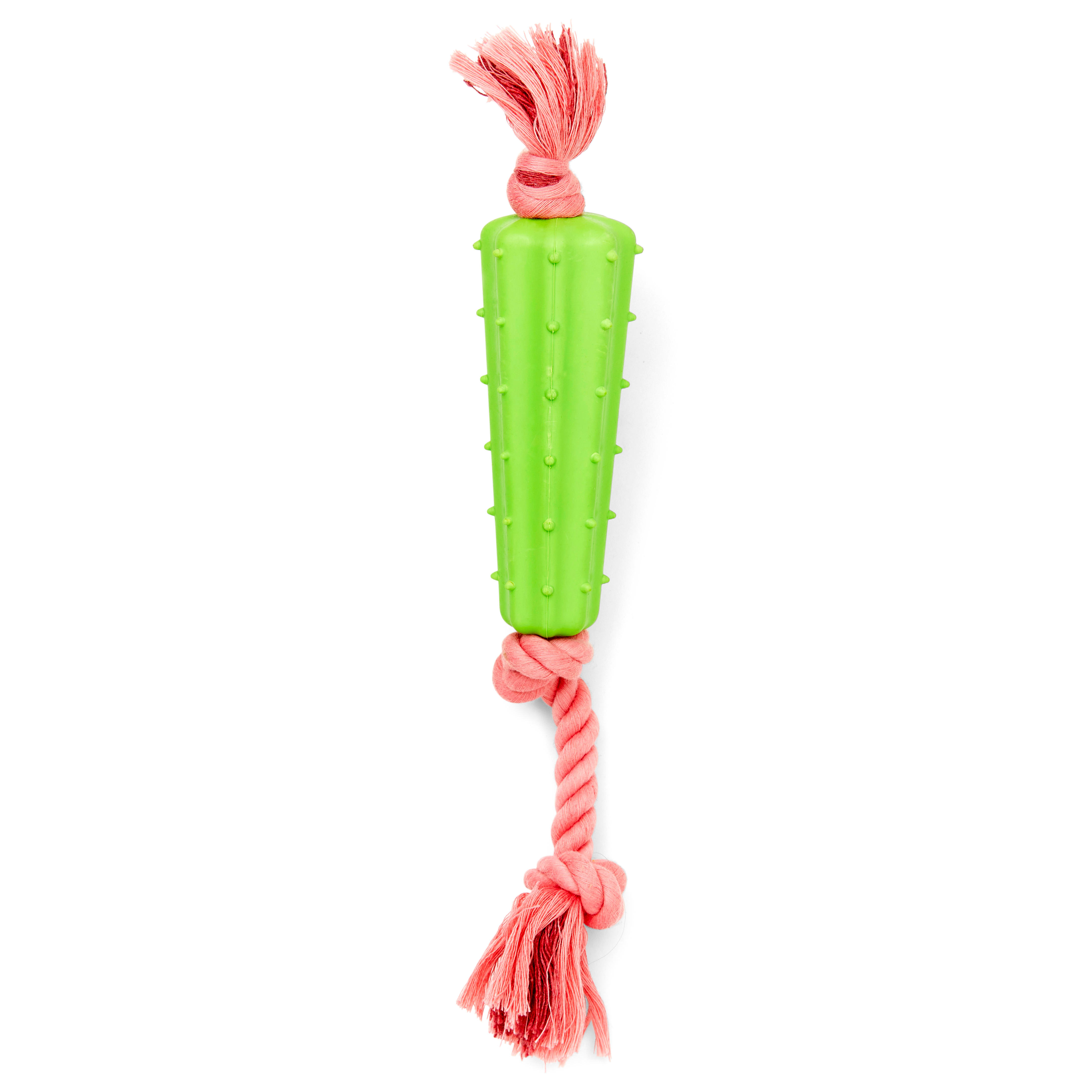 Leaps  Bounds Rubber Cactus  Rope Dog Toy， Large