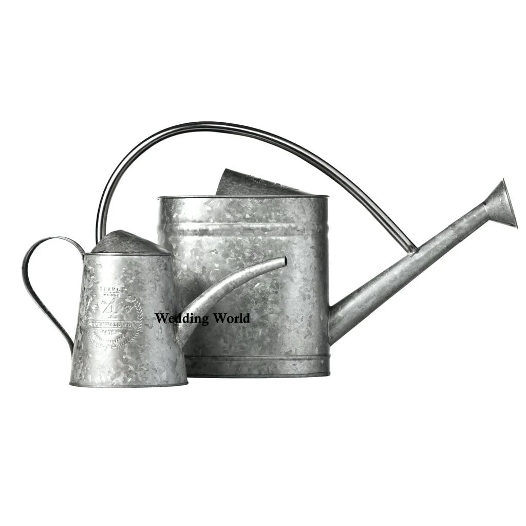 Set Of Two galvanized Water Can High Quality handmade Designer Watering Can Customized Shape fancy Metal Water Can