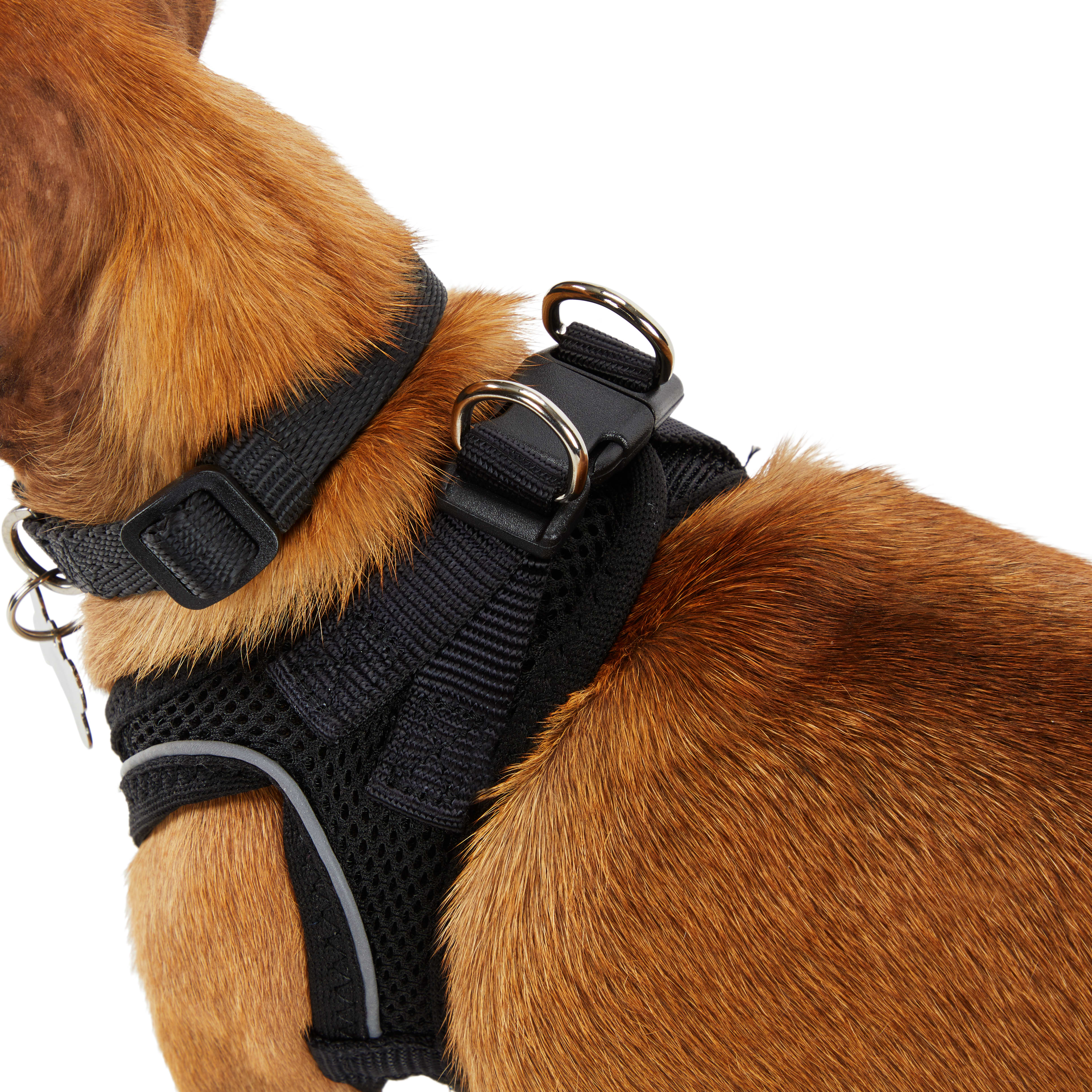 YOULY Black Reflective Mesh Dog Harness， XX-Small/X-Small