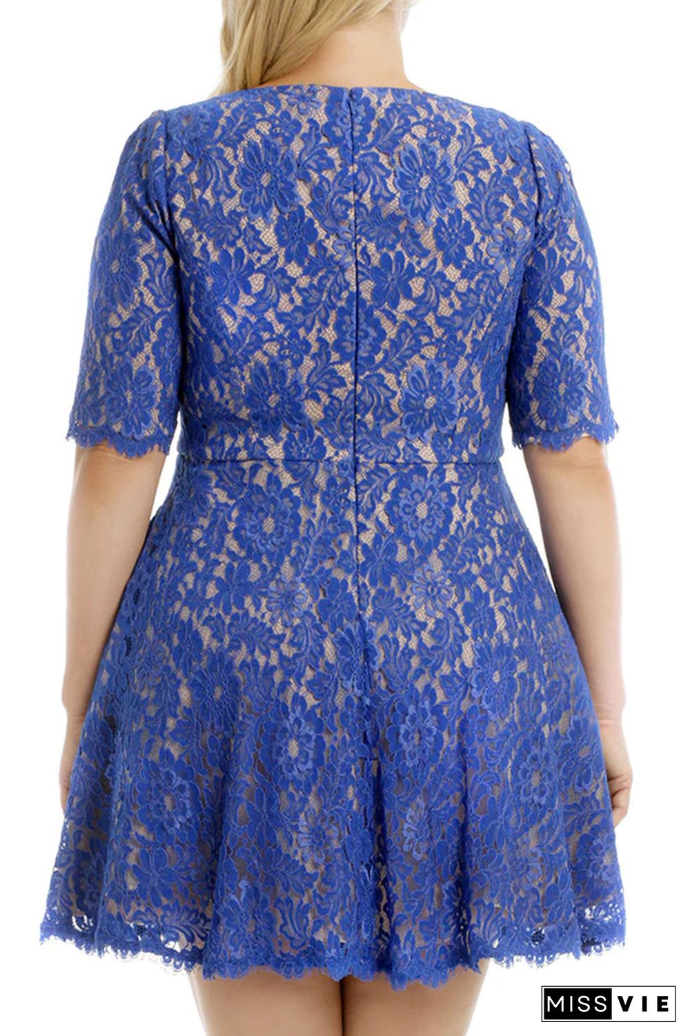 Blue Floral Lace Nude Illusion Plus Size Skater Dress