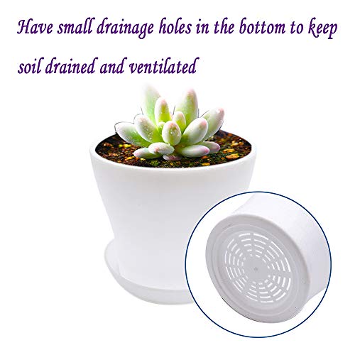 12Pcs White Plant Pots,4 Inch Plastic Nursery Pots with Trays and Drainage Holes,Succulent Planters Container for Small Plants,Herbs,Seeds