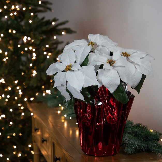 White Artificial Christmas Poinsettia With Red Wrapped Base