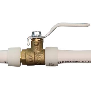 Apollo 12 in. Brass PEX-A Expansion Barb Ball Valve EPXV12