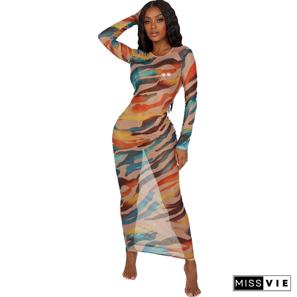 Mesh Print Long Sleeve Maxi Dresses