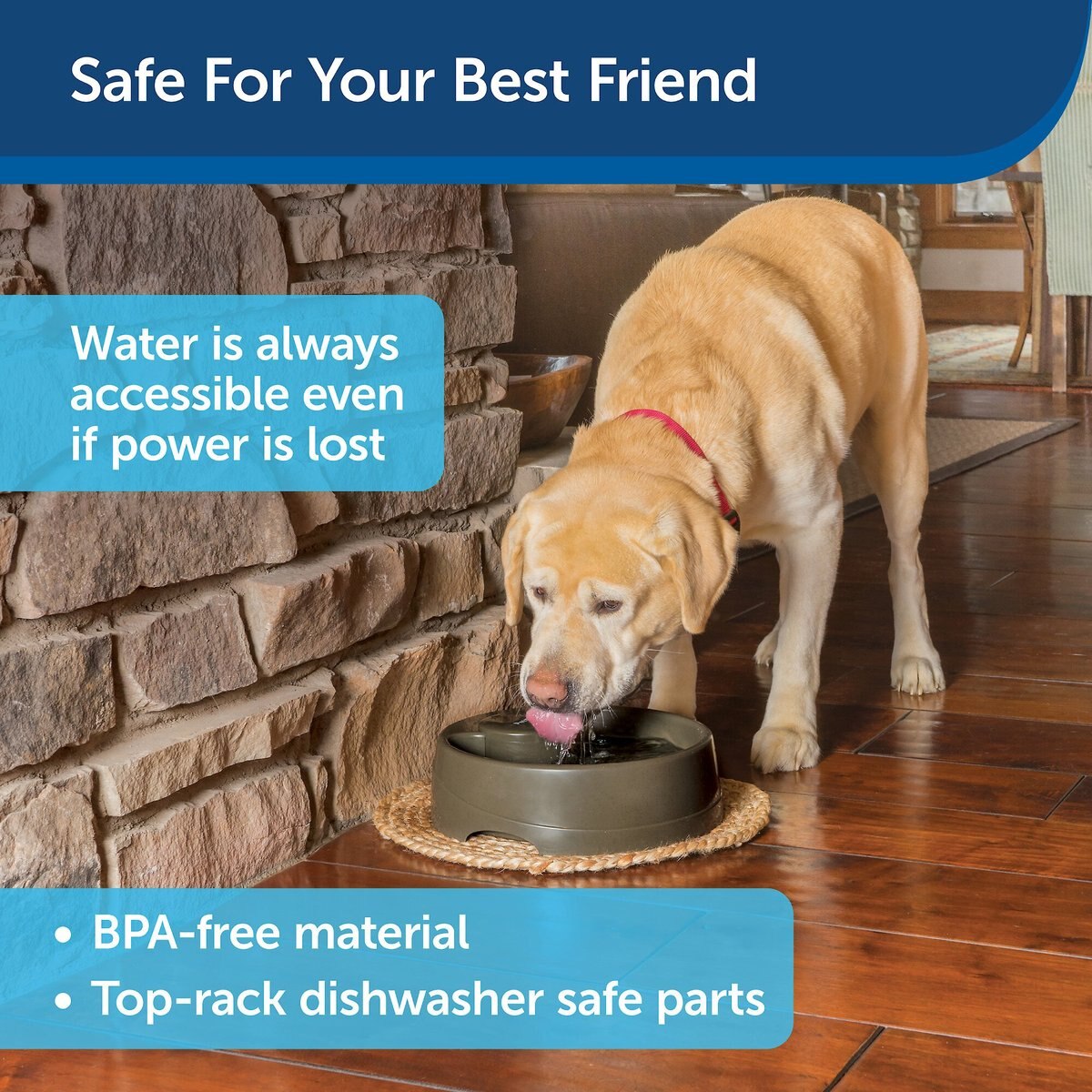 PetSafe Current Circulating Pet Fountain