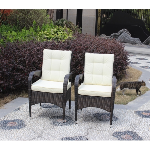 Outdoor Patio Furniture Set Conversation Set 2Piece Resin Wicker Dining Sofa Chair Set for Patio，Backyard，Garden，Meadow