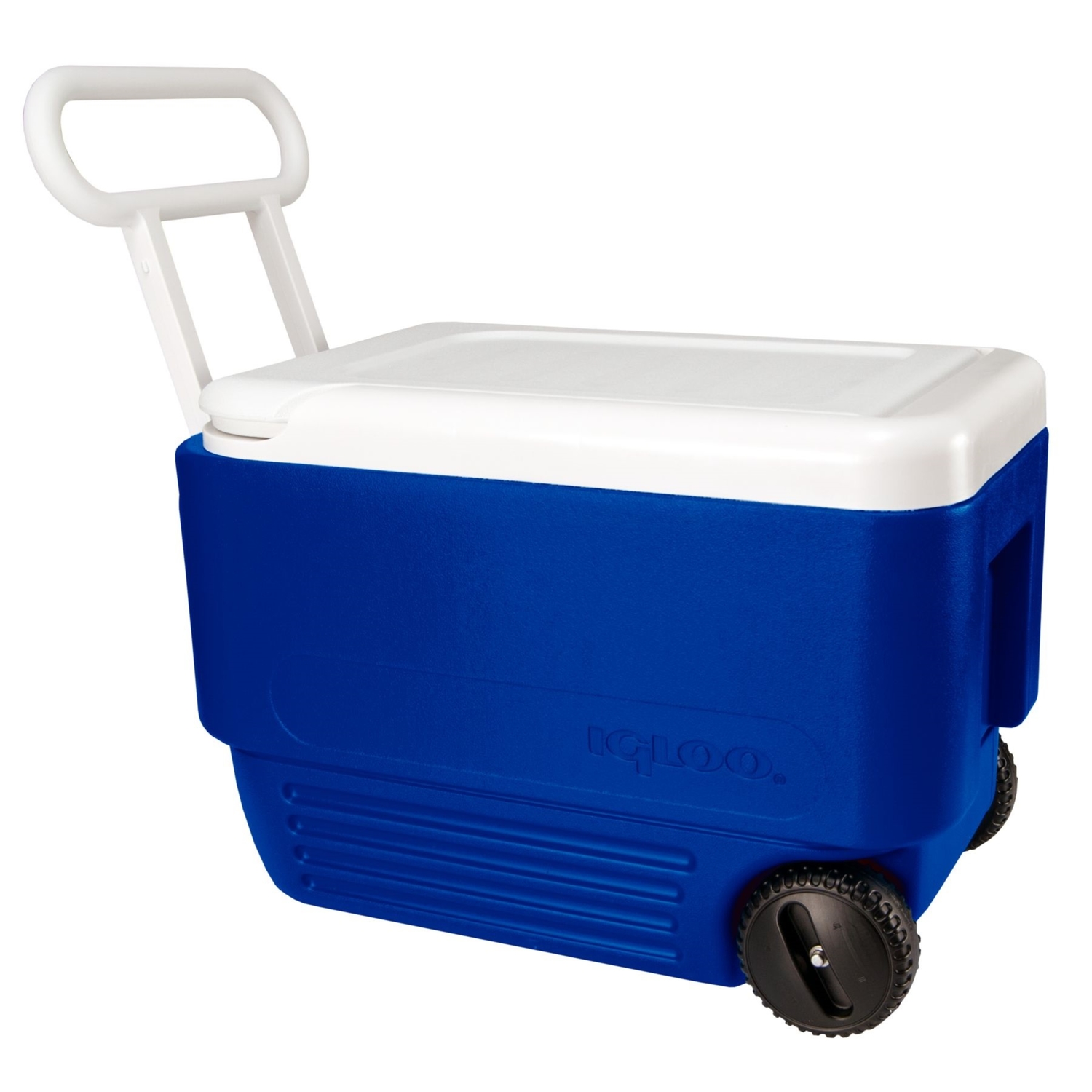 Igloo Wheelie Cool Blue 38 qt Cooler