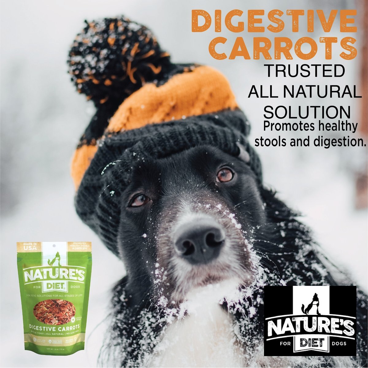 Nature's Diet Digestive Relief and Anit-Diarhea Carrots Raw Freeze-Dried Dog Treats， 6-oz pouch