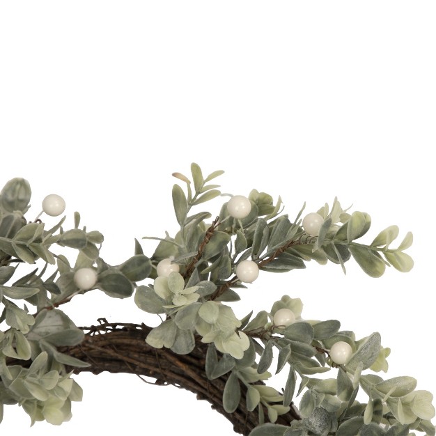 Northlight White Berry And Eucalyptus Christmas Wreath 18 inch Unlit