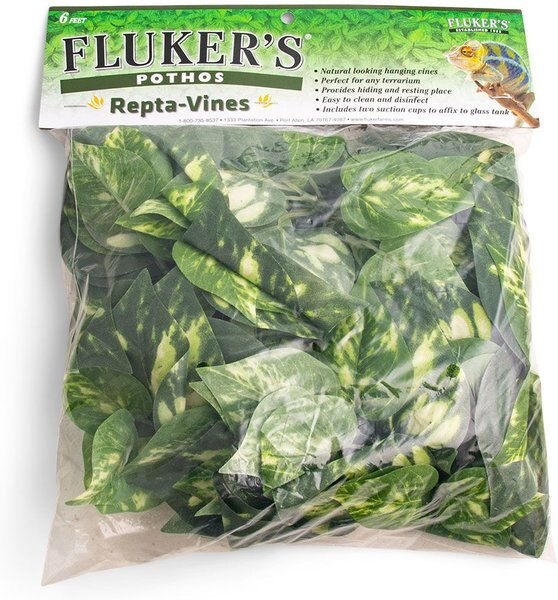 Fluker's Pothos Repta-Vines