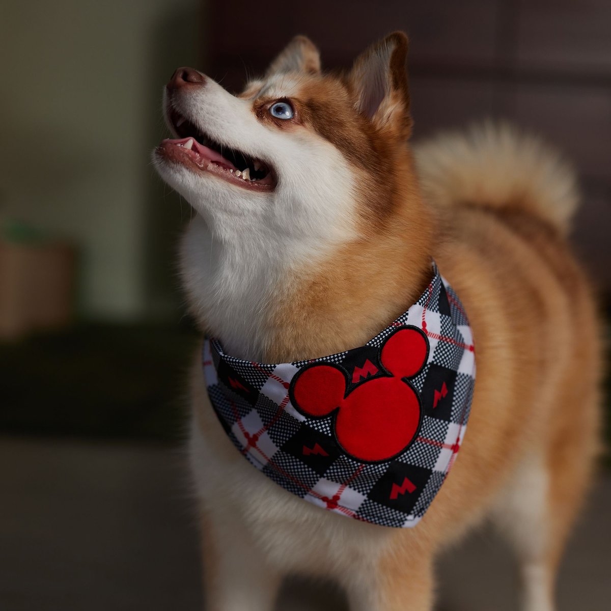 Disney Mickey Mouse Plaid Dog and Cat Bandana