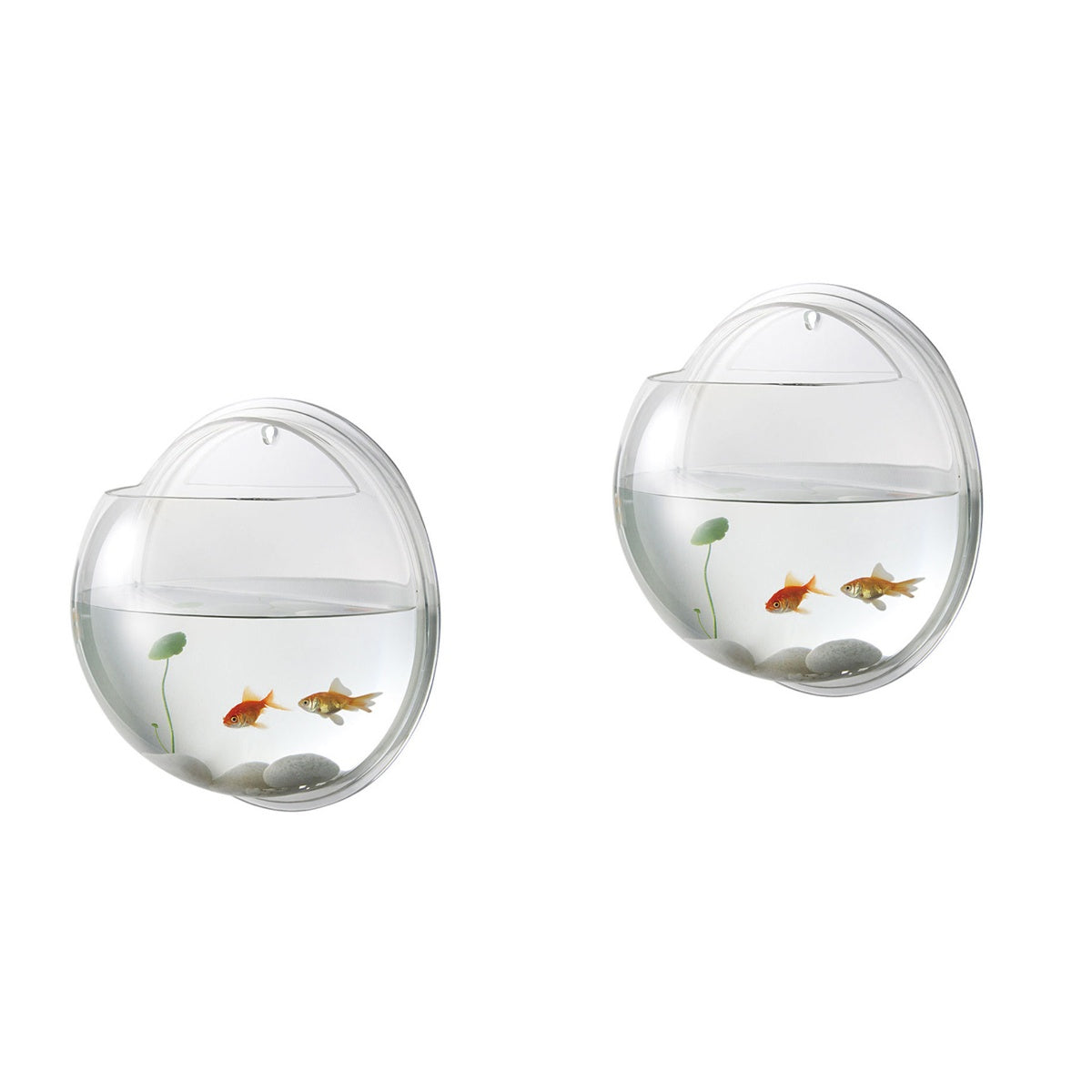 Frcolor Fish Wall Hanging Aquarium Tank Aquarium Mounted Bowl Pot Supplies Tanks Planter Betta Bubble Acrylic Bubble Tank