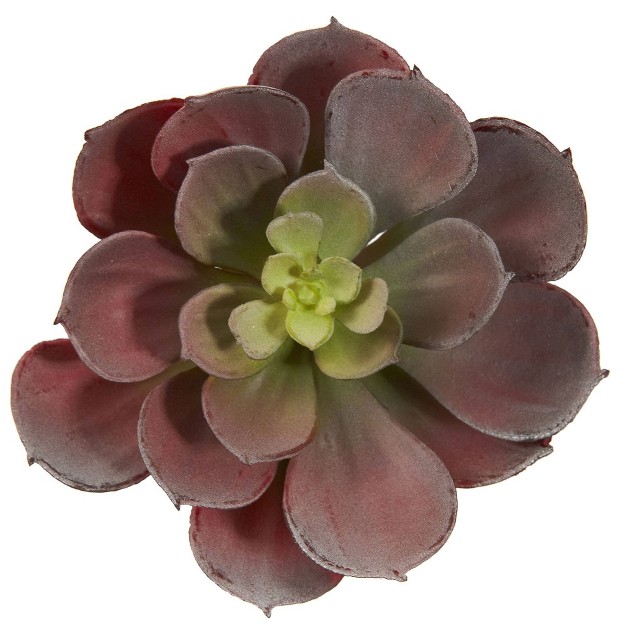 Nearly Natural 6-in Artificial Echeveria Succulent (set Of 12)