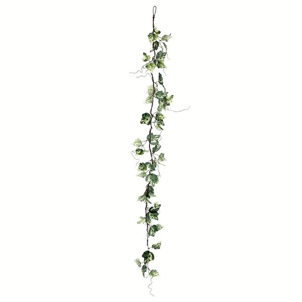 Vickerman 56 Artificial Green Variegated Ivy Garland，Pack of 2