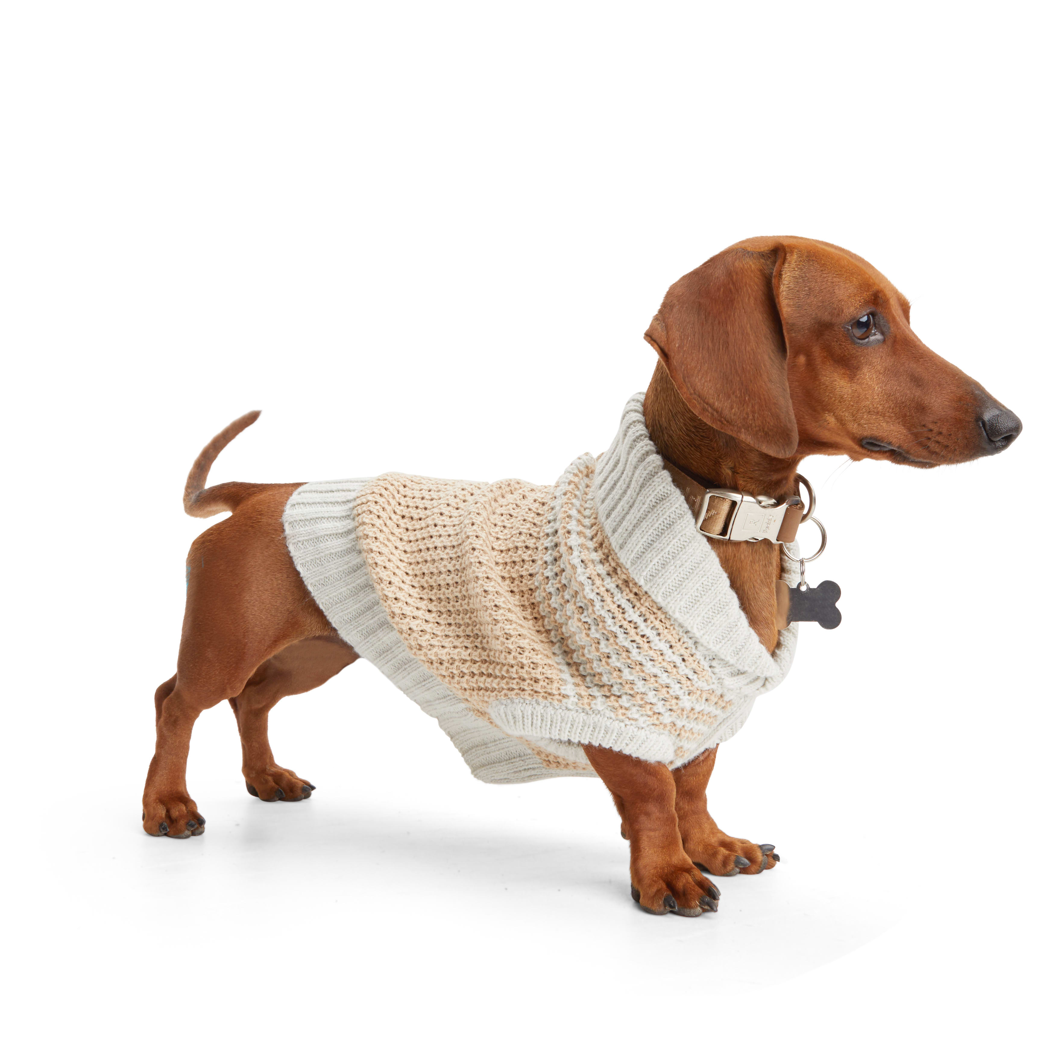 REDDY Tan/Grey Trim Cardigan for Dogs， X-Small