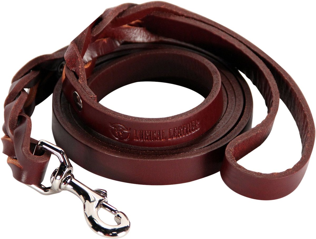 Logical Leather Braided Dog Leash， 6-ft