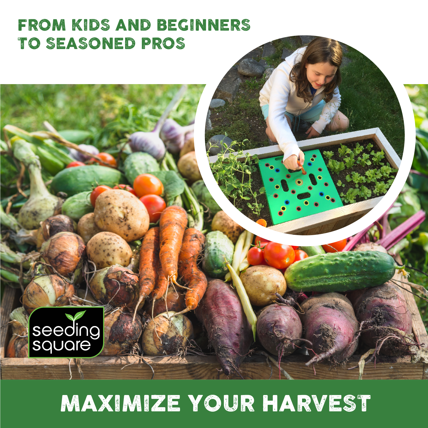 Seeding Square: A Seed-Sowing Template – Grow Perfectly Spaced Vegetables, Reduce Weeds, Conserve Water & Maximize Yield – Square-Foot-Gardening Seed and Seedling Spacer Tool