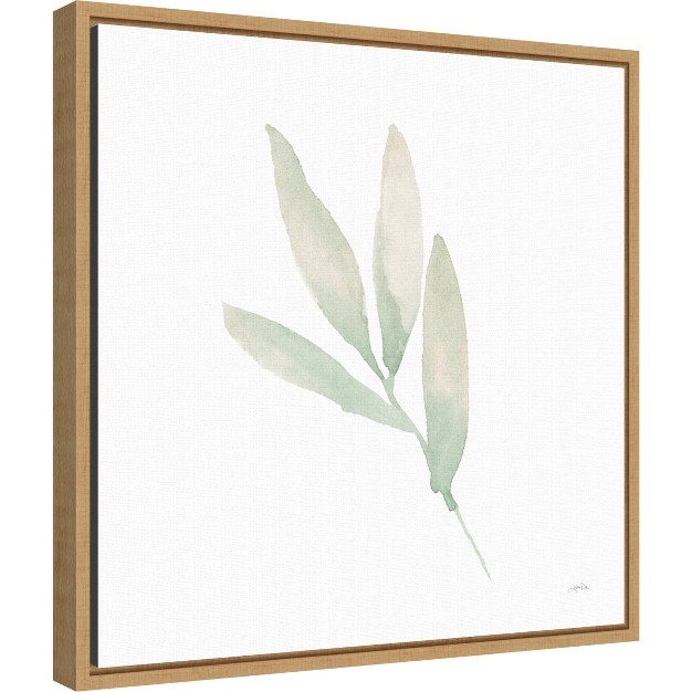 X 16 quot Sage Leaves Iii By Katrina Pete Framed Wall Canvas Amanti Art