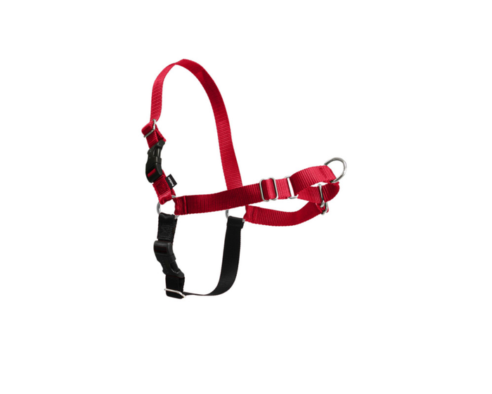 PetSafe Easy Walk Harness， No Pull Dog Harness， Medium， Red