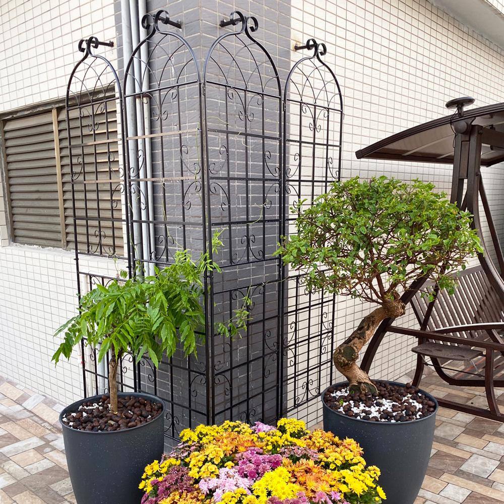 Zeus  Ruta 86 .7 in. Black 2-Pack Metal Garden Trellis for Climbing Plants Outdoor BCFG-126