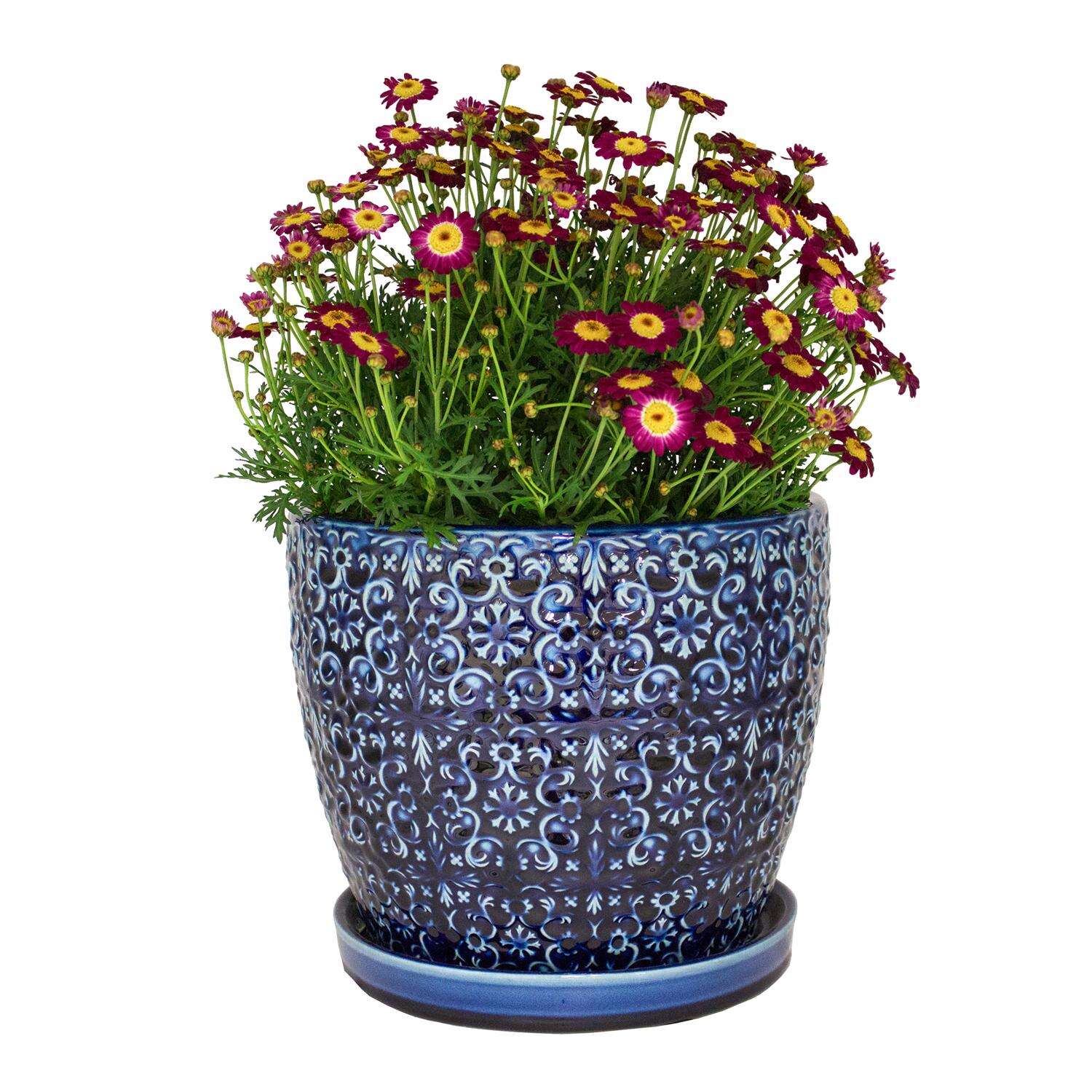 Trendspot Mediterranean 10.16 in. H X 11.9 in. W X 11.9 in. D X 12 in. D Ceramic Planter Blue