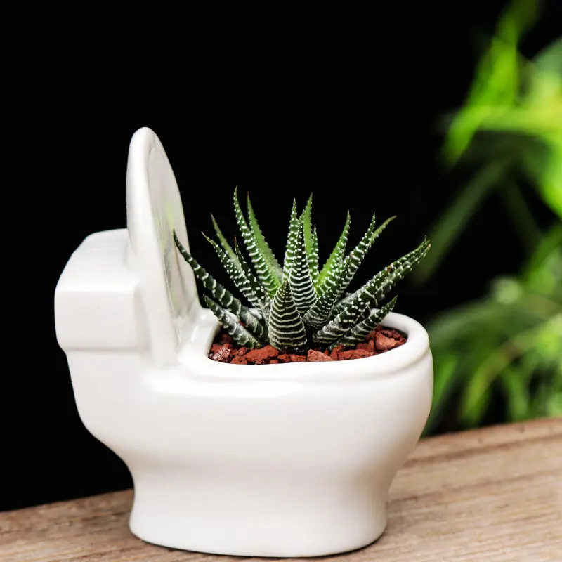 Factory Cheap Supply Ceramic Creative Toilet Shape Flower Pot for Planters  Home Living Room Decor