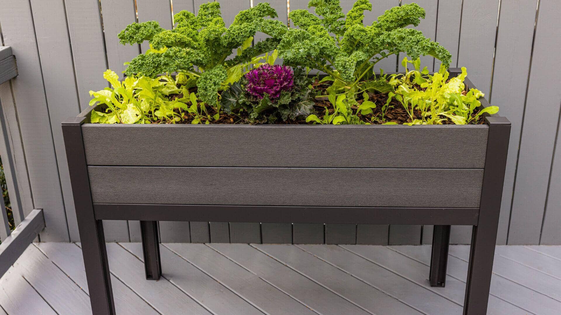 The Elevated Escape (24” x 48” x 34.5”) Elevated Garden Bed