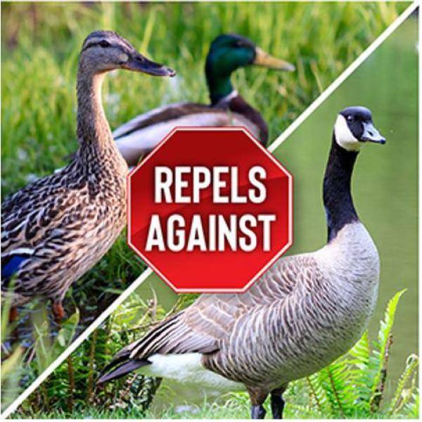 ANIMAL STOPPERS Goose Stopper Animal Repellent 32 oz. Ready-to-Spray Hose End GS-C-032-HS