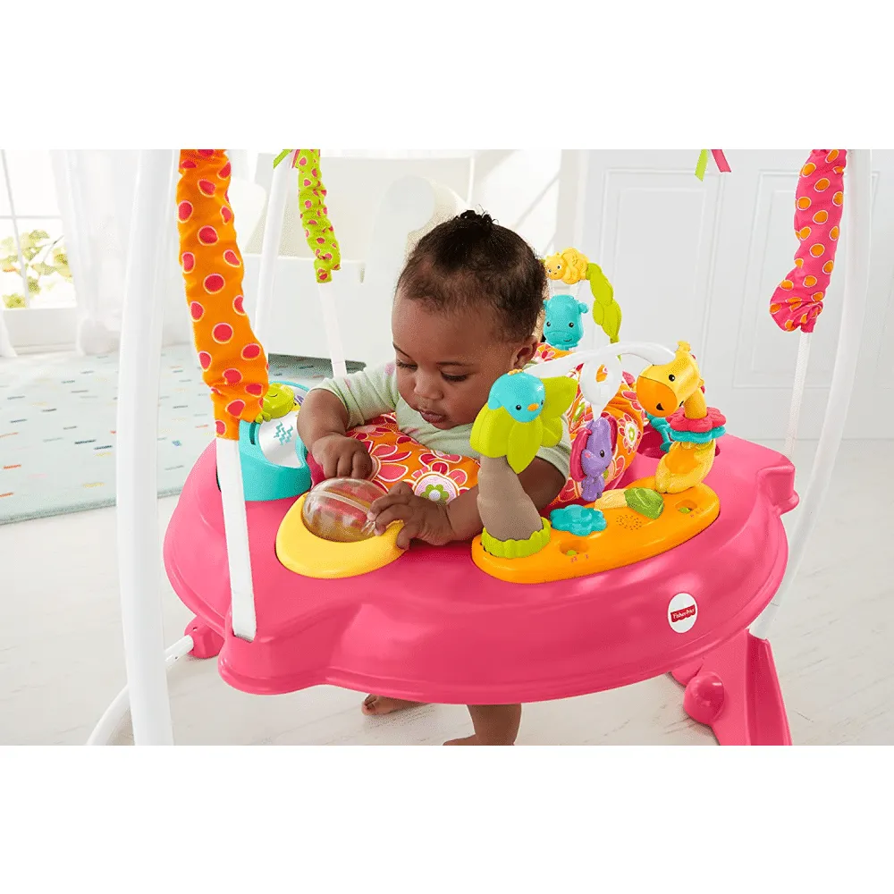 Fisher-Price Jumperoo， Pink Petals