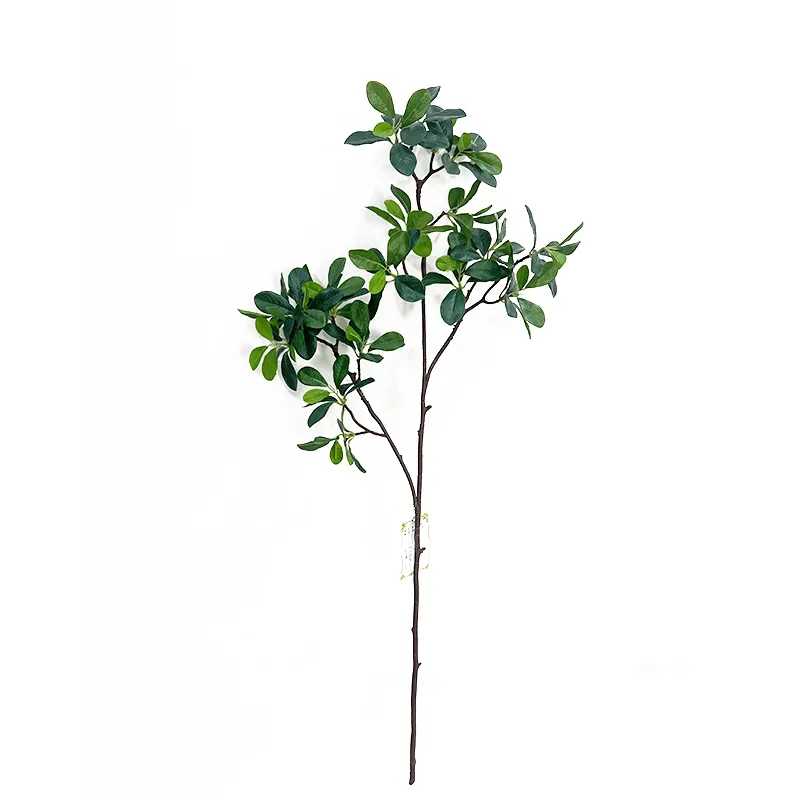 48cm height Japanese Polyscias guilfoylei Artificial Tree Leaves single pole stem artificial plant for indoor decor