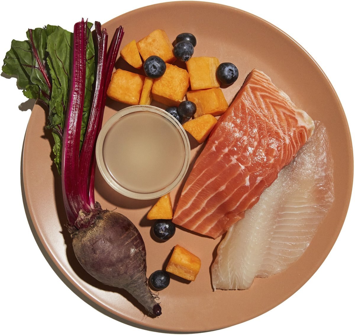 Made by Nacho Bone Broth Infused Sustainably Caught Salmon and Pumpkin Recipe Dry Cat Food