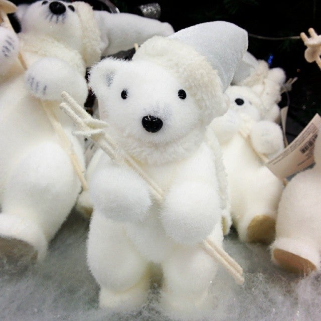 14 White Polar Bear With White Santa Hat