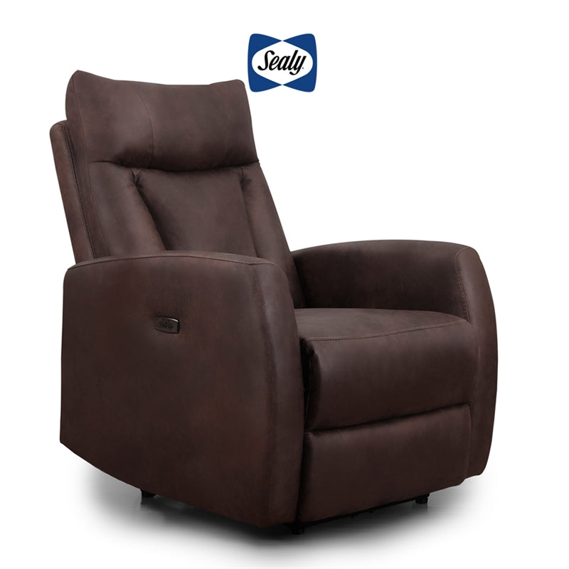 Manhattan Recliner in Espresso by Sealy Sofa Convertibles