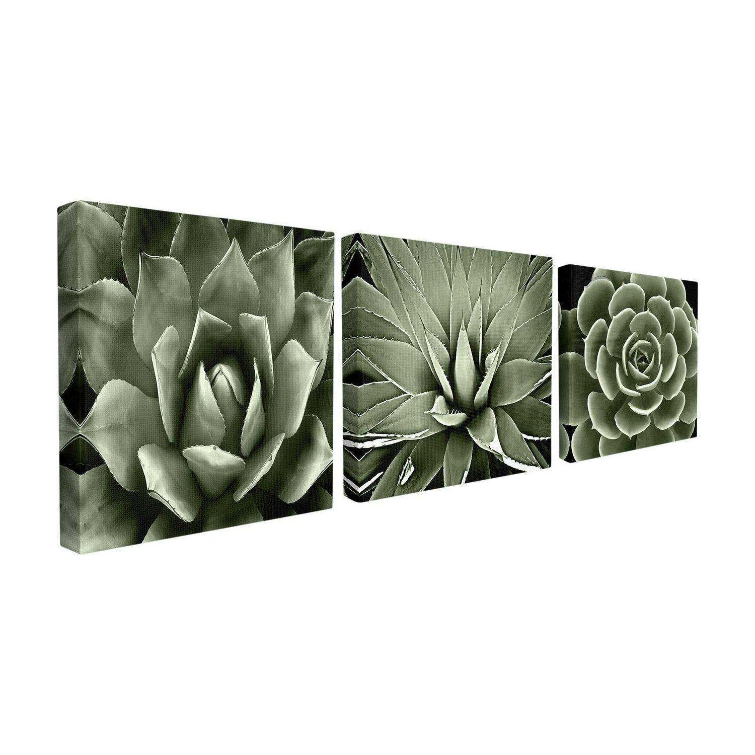 The Stupell Home Decor Collection Black and White Contrast Succulent Bloom Trio 3pc Stretched Canvas Art Set 17 x 15 x 17  Crowdfused