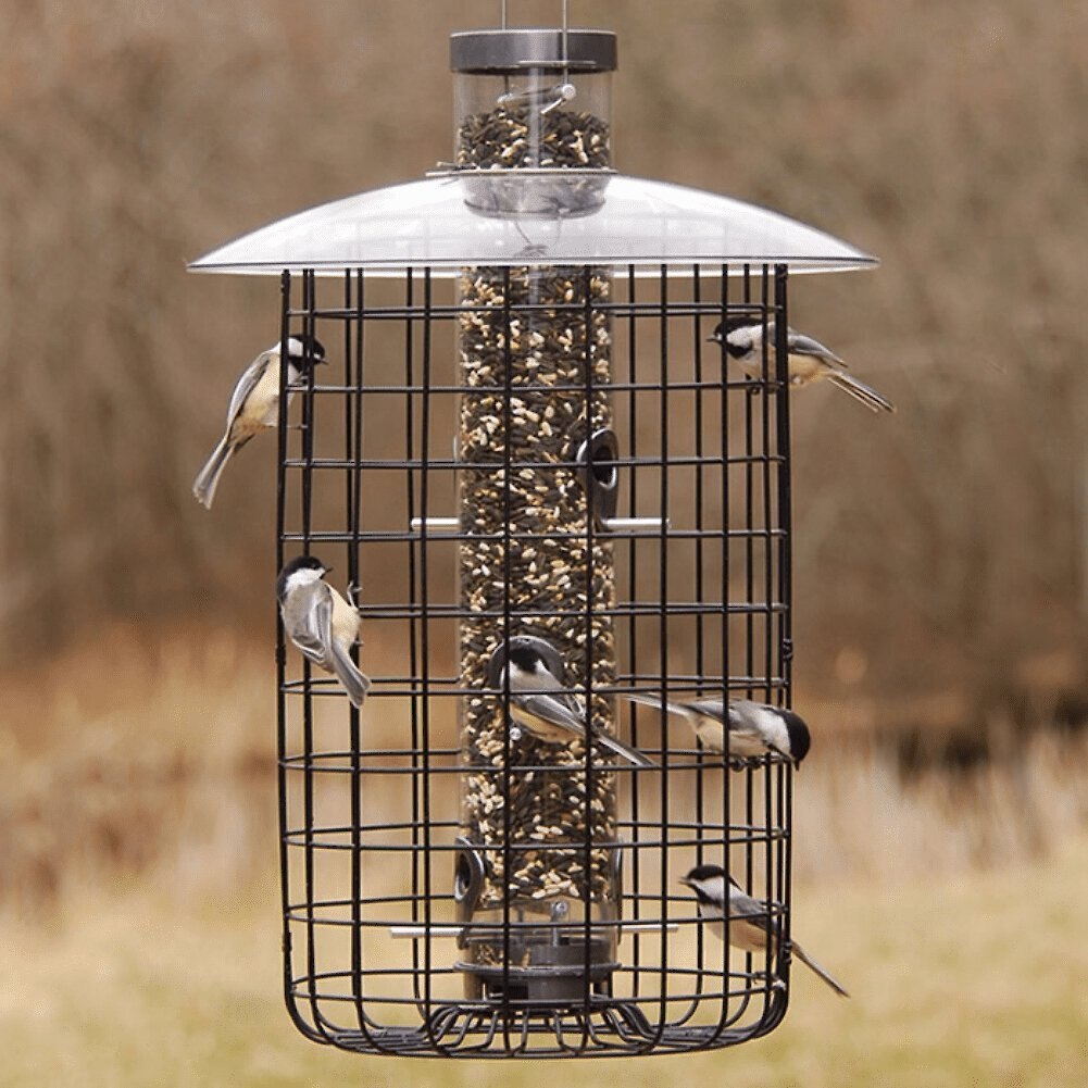 Droll Yankees B7 Sunflower Domed Cage Shelter Bird Feeder， 20-in