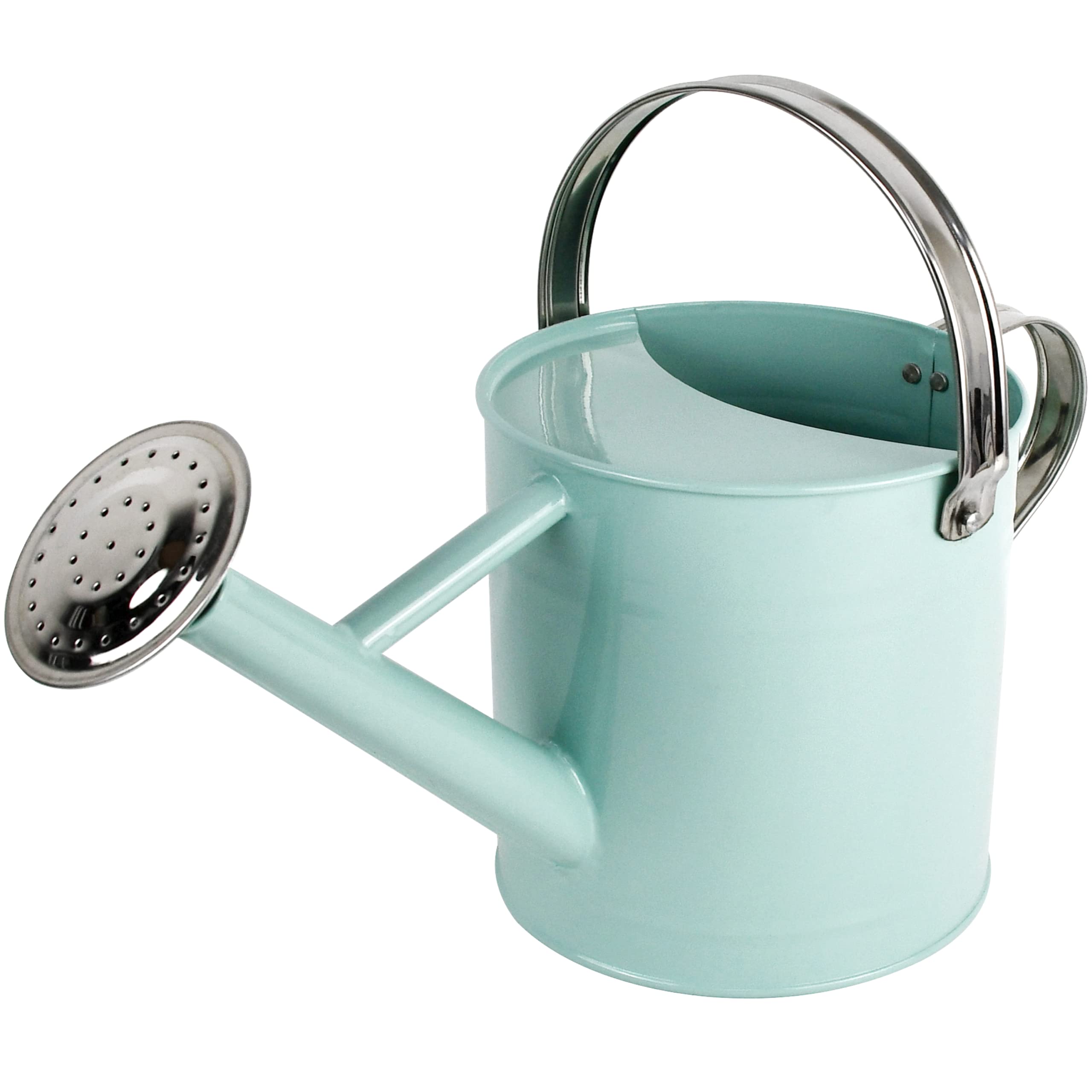 Homarden 1-Gallon Watering Can， Copper Colored Metal Watering Can with Removable Spout， Light Green