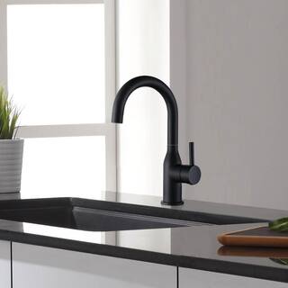 ARCORA Single-Handle Bar Sink Faucet with Water Supply Lines in Matte Black AR6100201B