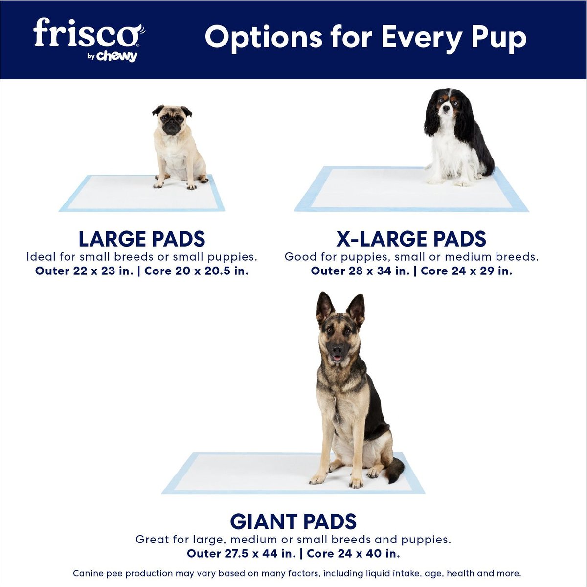 Frisco Charcoal Dog Training and Potty Pads