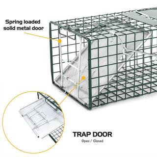 HOMESTEAD Small 1-Door Professional Humane Steel Live Animal Cage Trap for Squirrels Rabbits Chipmunks Skunks Rats and Weasels 410-344-0111