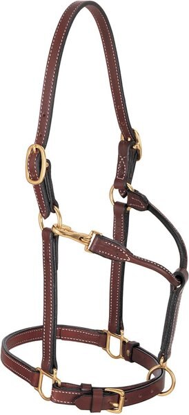 Weaver Leather Double Buckle Crown Horse Halter