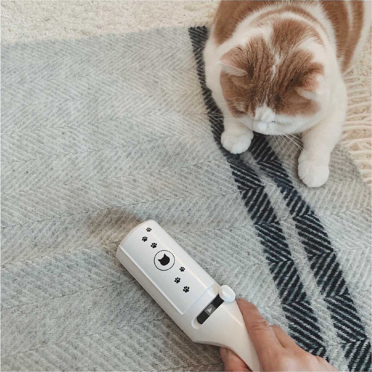 Necoichi Purrfection Neat and Easy Feline Hair Remover