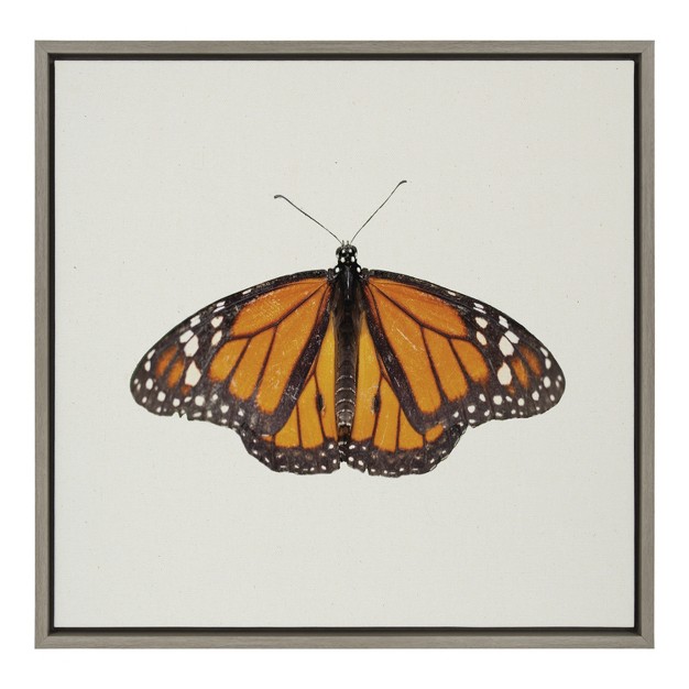 Kate And Laurel Sylvie Monarch Butterfly Framed Canvas By Robert Cadloff Of Bomobob 22x22 Gray